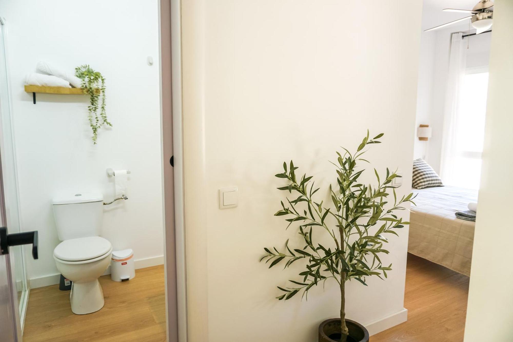Apartamento El Olivo Αλικάντε Εξωτερικό φωτογραφία